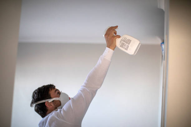 Best Mold Remediation  in Mitchell, SD