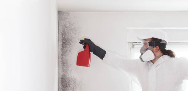 Best Mold Testing  in Mitchell, SD