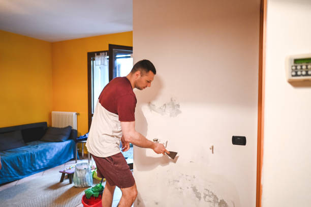 Mold Removal Process in Mitchell, SD