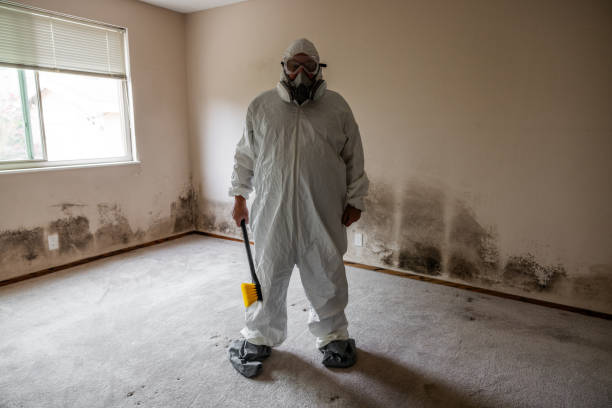 Best Mold Testing  in Mitchell, SD