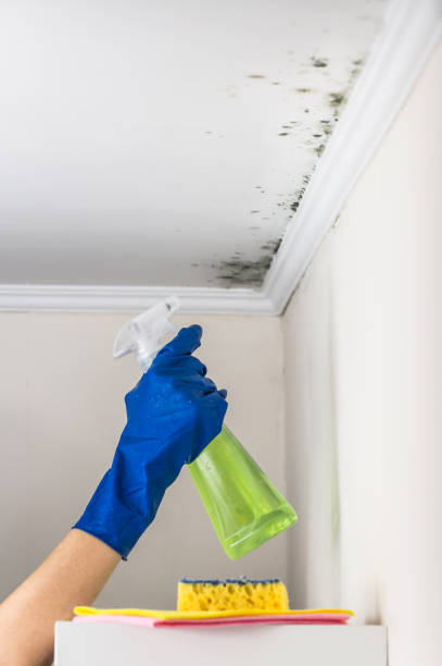 Best Mold Cleaning Services  in Mitchell, SD